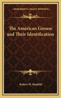 The American Grouse and Their Identification