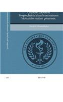 In Situ Capping of Contaminated Sediments: Spatial and Temporal Characterization of Biogeochemical and Contaminant Biotransformation Processes