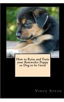 How to Raise and Train Your Rottweiler Puppy or Dog to be Great