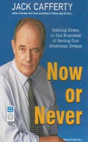 Now or Never: Getting Down to the Business of Saving Our American Dream