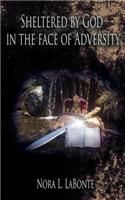 Sheltered by God in the Face of Adversity