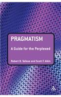 Pragmatism: A Guide for the Perplexed