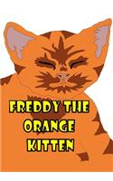 Freddy the Orange Kitten