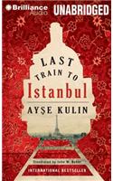 Last Train to Istanbul