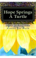 Hope Springs a Turtle