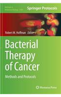 Bacterial Therapy of Cancer