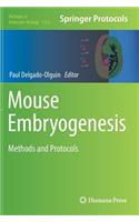 Mouse Embryogenesis
