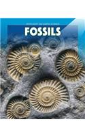 Fossils: (Spotlight on Earth Science)