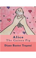 Alice the Guinea Pig