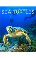 Sea Turtles