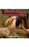 Amazing Anteaters