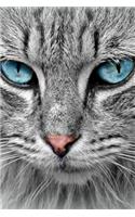 Cat Lovers Gift For Girls, Boys, Women & Men
