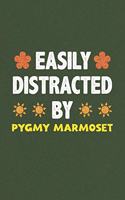 Easily Distracted By Pygmy Marmoset