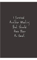 I Survived Another Meeting That Should Have Been An Email.