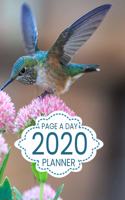 2020 Page A Day Planner: Calendar Schedule Organizer Blue Hummingbird Pink Flowers Design Cover