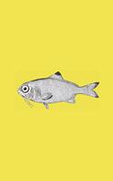 Fishy Journal