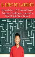 IL LIBRO DEI LABIRINTI - Manuale Con 100 Percorsi Diversi ! Sviluppa L'intelligenza, Apprendi e Divertiti Allo Stesso Tempo. Libro Per Bambini (Rigid Cover Version, Italian Language Edition): Mazes For Kids, Italy Labyrinth, Activity Book