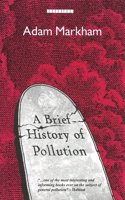 A Brief History of Pollution