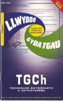 Canllaw Adolygu Gweledol Llwyddo gyda TGAU: TGCH Technoleg Gwybodaeth a Chyfathrebu