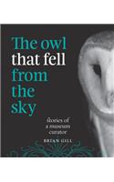 The Owl That Fell from the Sky: Stories of a Museum Curator