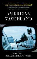 American Wasteland