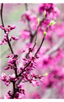 Touch of Spring - Lined Notebook with Margins: Medium Ruled, Soft Cover, 6 X 9 Journal, 190 Pages
