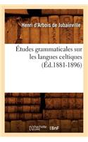 Études Grammaticales Sur Les Langues Celtiques (Éd.1881-1896): (Langues)
