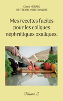 Mes recettes faciles pour les coliques néphrétiques oxaliques.: Volume 2.