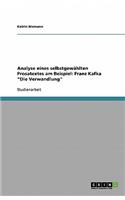 Analyse eines selbstgewählten Prosatextes am Beispiel