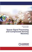 Sparse Signal Processing and Compressed Sensing Recovery