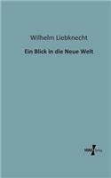 Blick in die Neue Welt