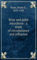 BRIAR AND PALM MICROFORM A STUDY OF CIR