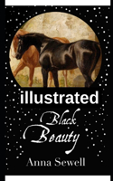 Black Beauty illustrated
