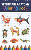 Veterinary Anatomy Coloring Book