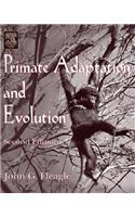 Primate Adaptation and Evolution
