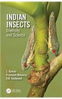 Indian Insects