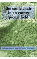 stone chair in an empty picnic field