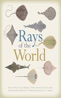 Rays of the World