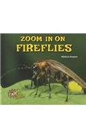 Zoom in on Fireflies