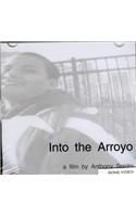 Into the Arroyo