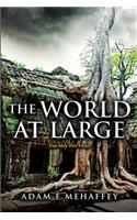 The world at large