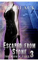 Medusa Files, Case 3