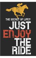 The Secret of Life? Just Enjoy the Ride - Horse