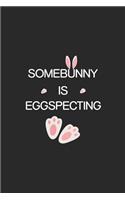 Somebunny Is Eggspecting