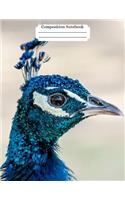 Composition Notebook Peacock Design Vol 7: College-ruled lined paper for notes, ideas, classes, and more!