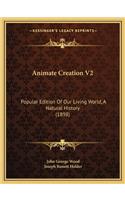 Animate Creation V2