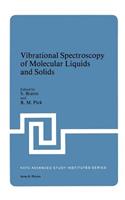 Vibrational Spectroscopy of Molecular Liquids and Solids