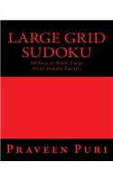 Large Grid Sudoku: 80 Easy to Read, Large Print Sudoku Puzzles