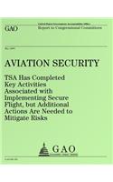 Aviation Security: (English)