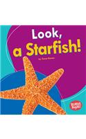 Look, a Starfish!